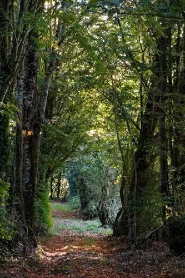 Proche Puy du Fou - Roches Blanches