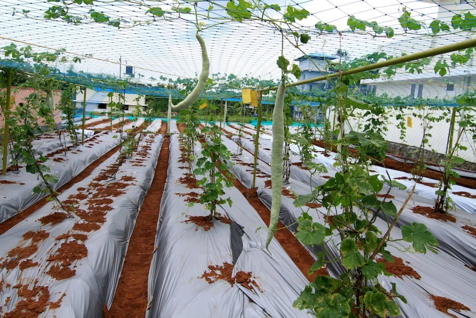 Ayur Bethaniya Ayurveda Hospital