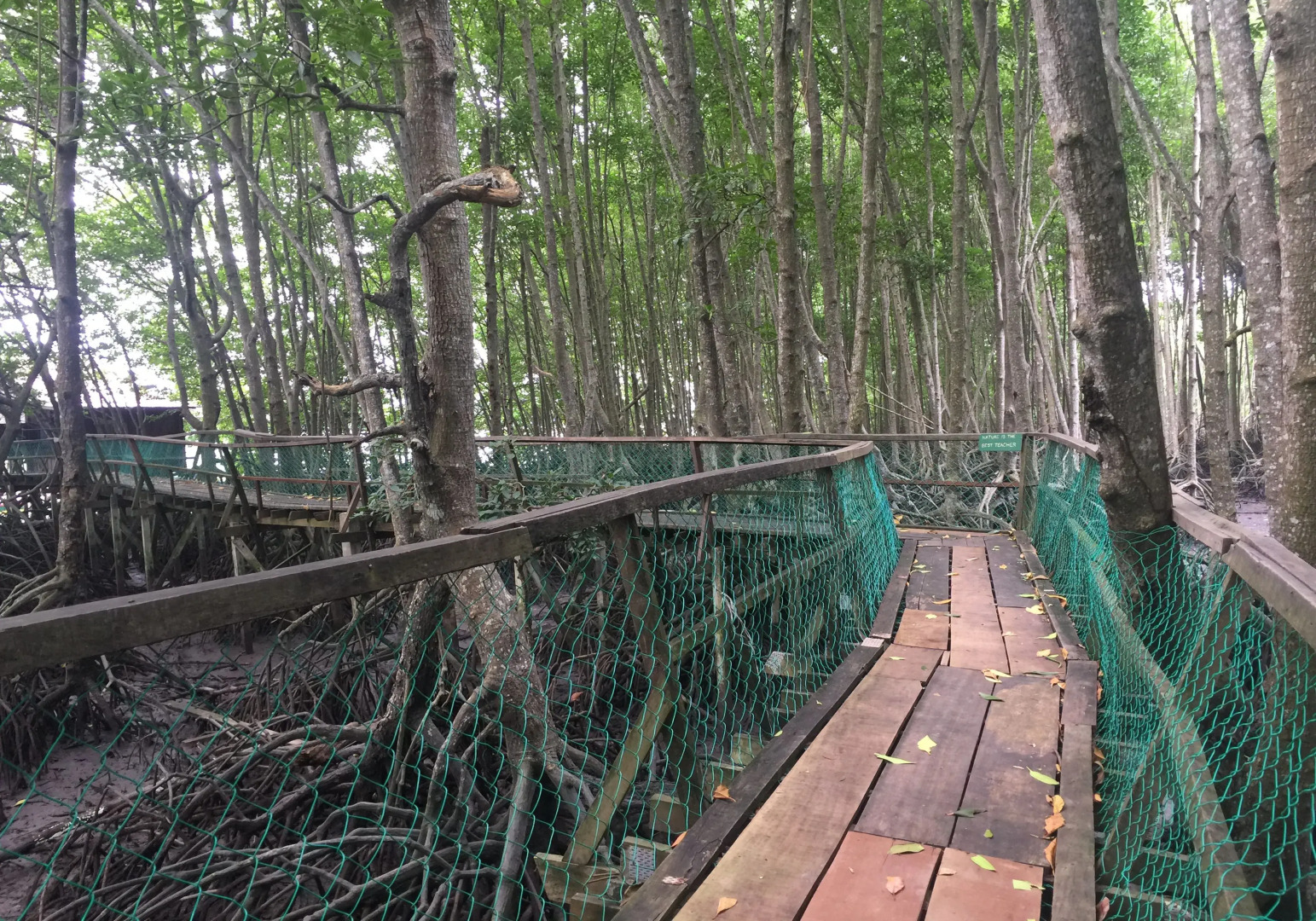 Bakau Hijau Riverlodge - Hostel