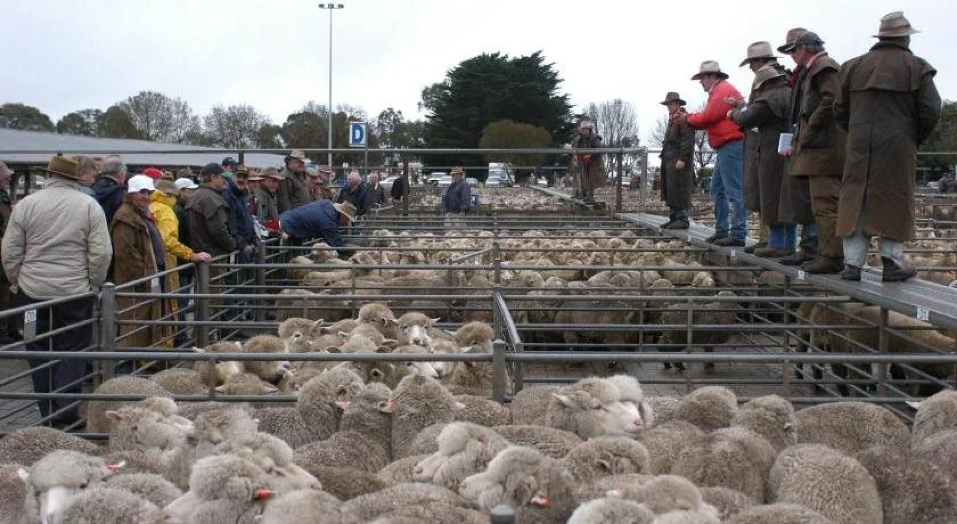 Hamilton Caravan Park