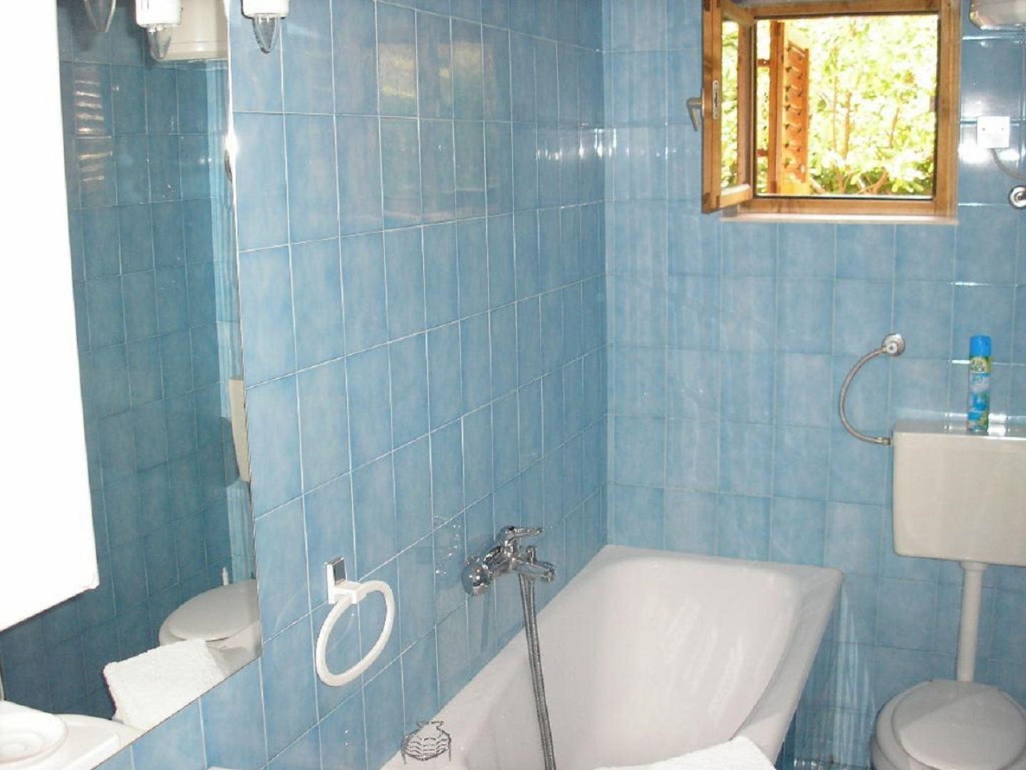 Apartment Zelko - garden and barbecue: A2 Hvar, Island Hvar