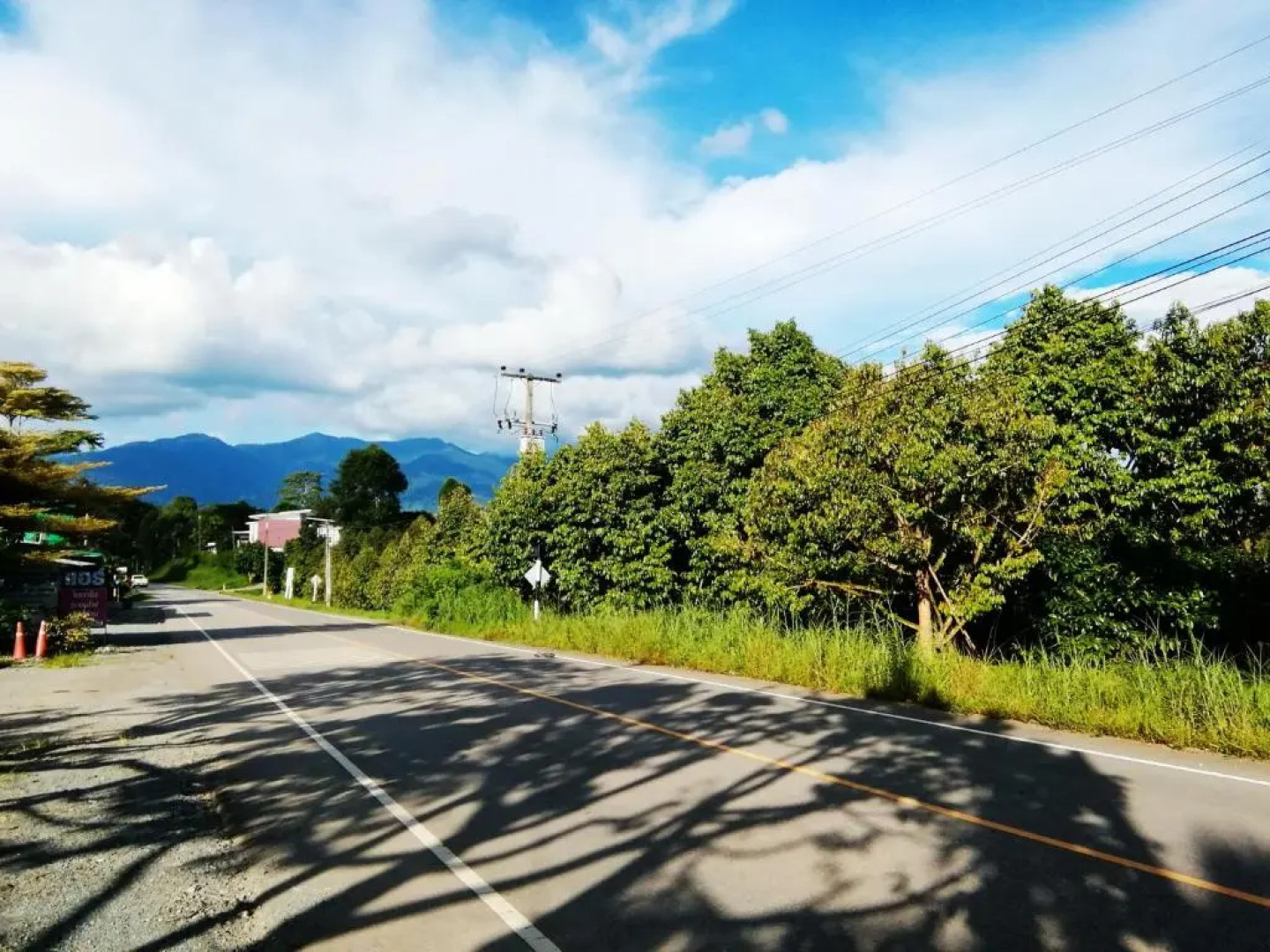 Wilderness Mountain View