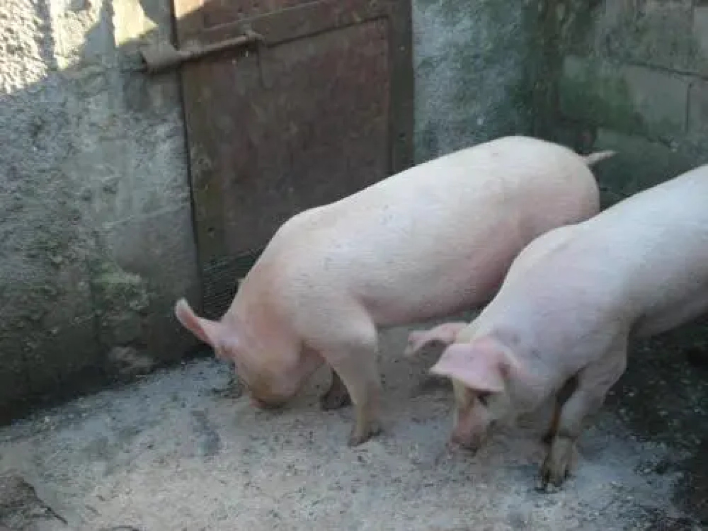 Agriturismo La Querce