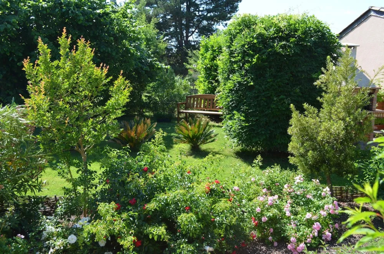 L'Oliu De L'Oustalet