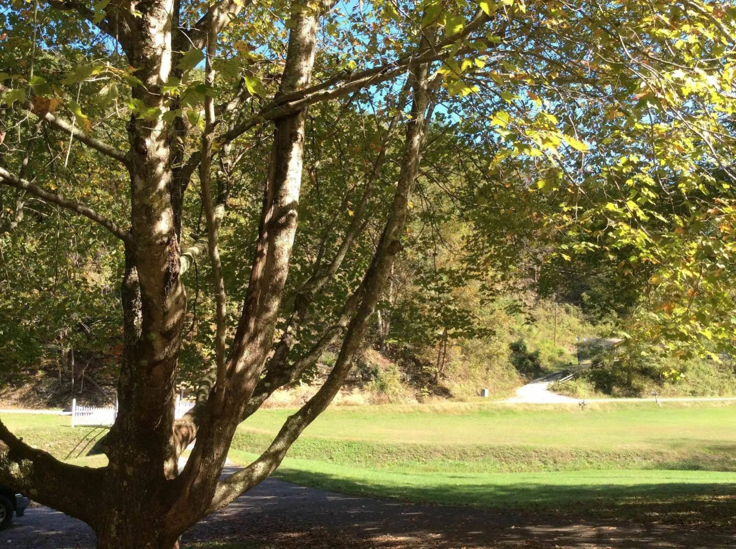 Country Road House and Berries