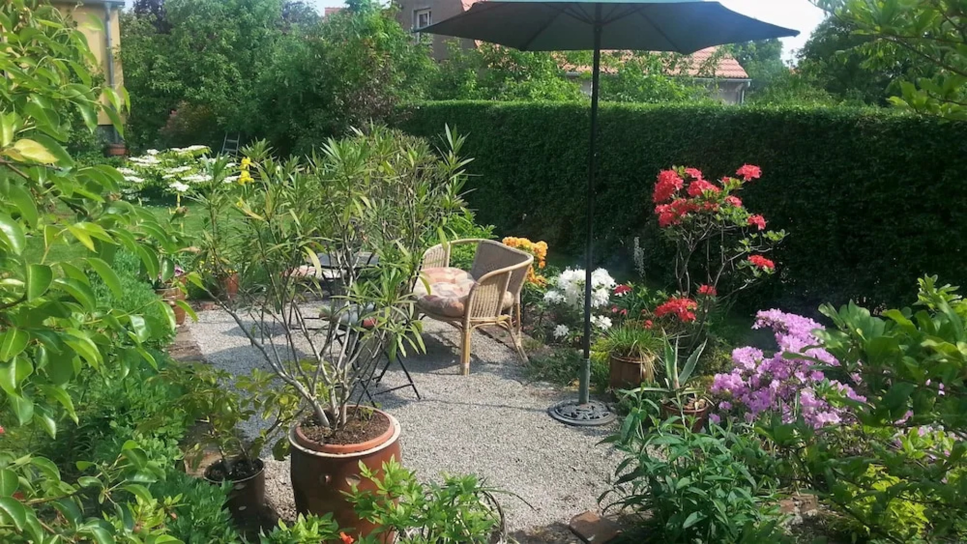 Apartment Under Cedar