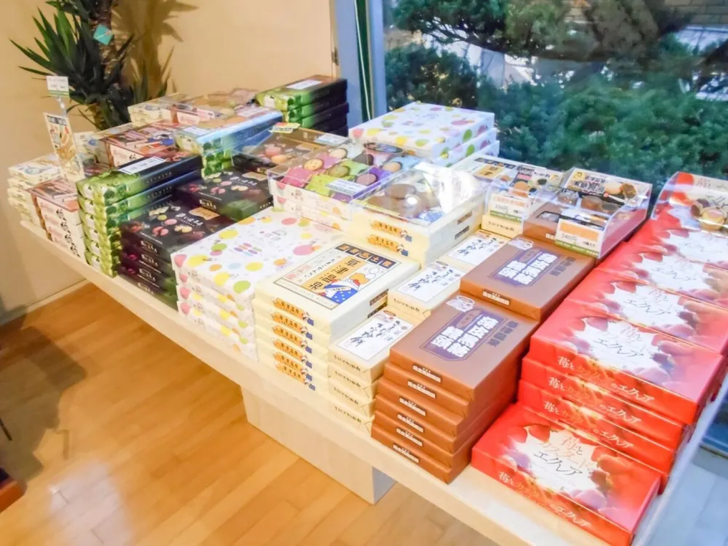 Livemax Resort Kusatsuonsen