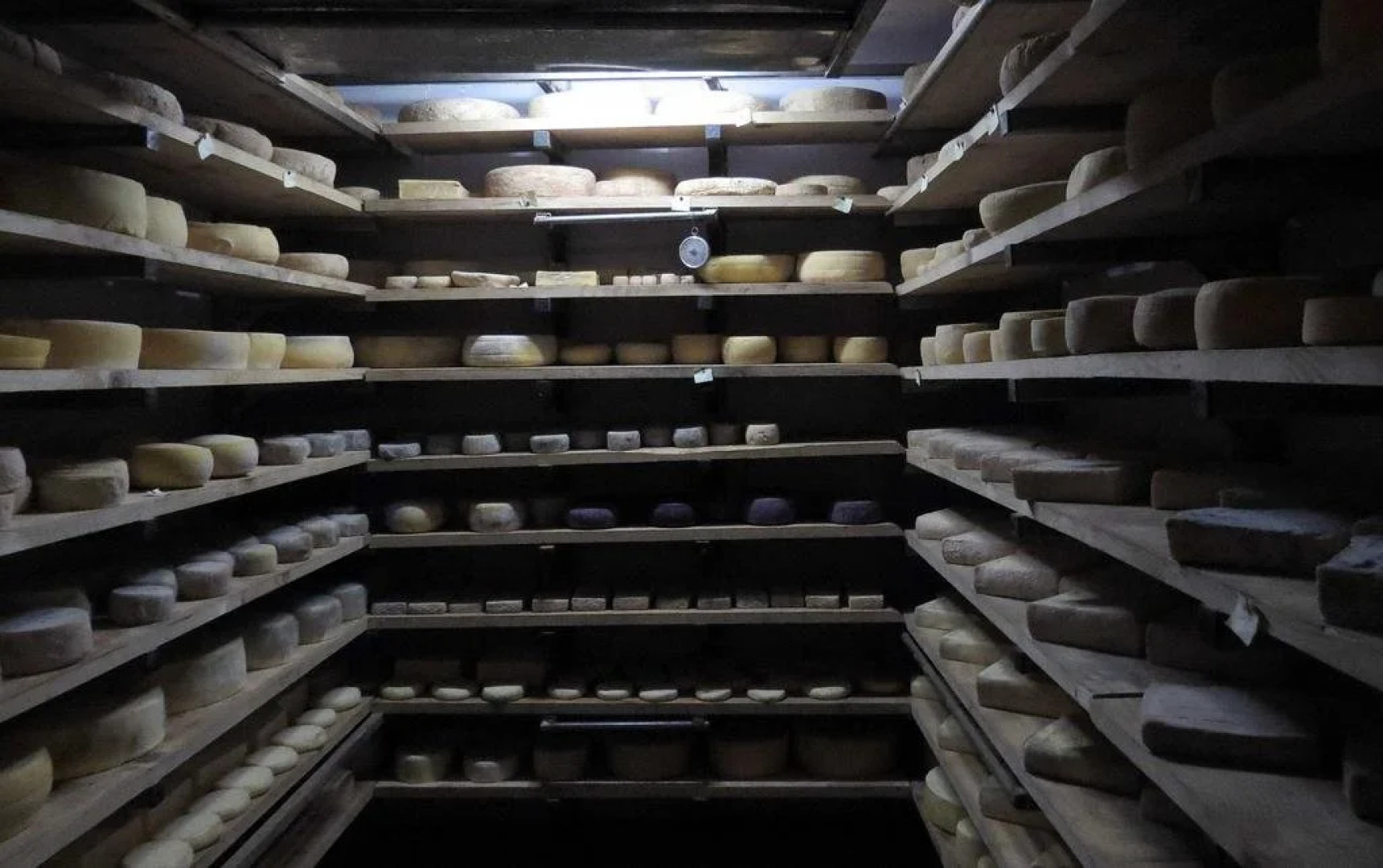 Agriturismo Cascina Selva