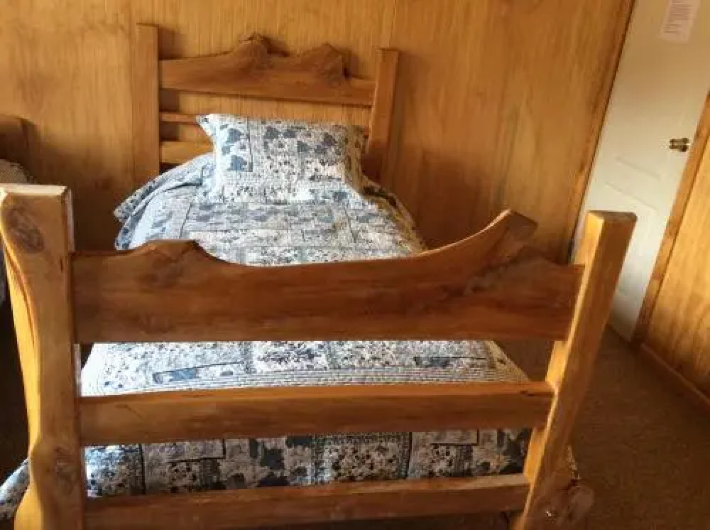 Los Mañíos Del Queulat