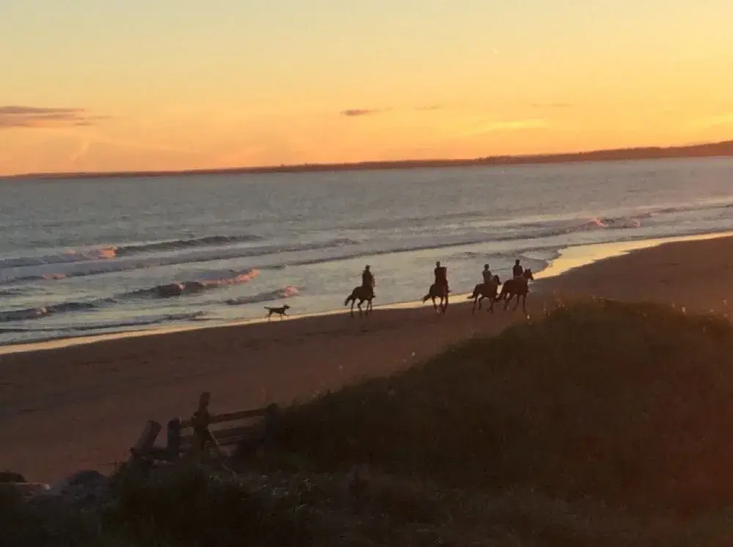 3 Moonlight Beach Suites