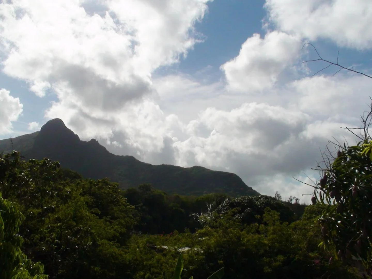 House With 3 Bedrooms In Coromandel With Wifi