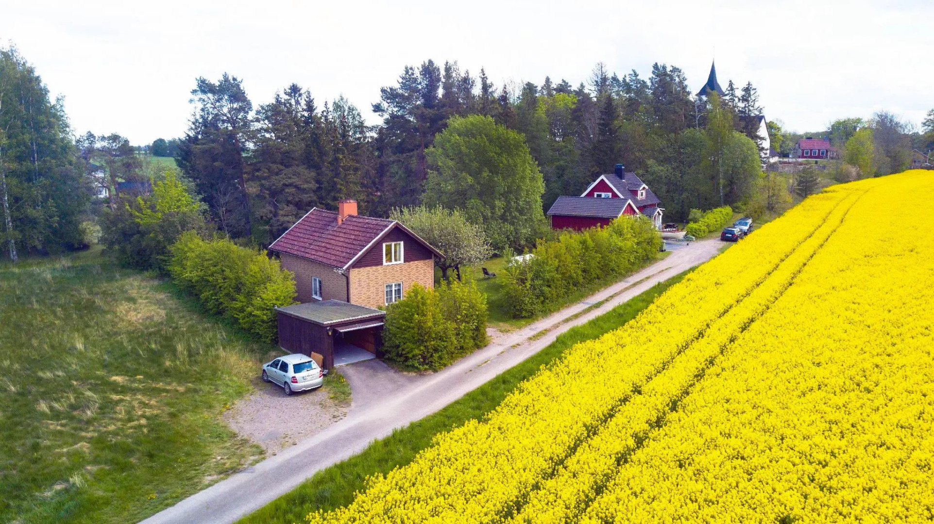 The Cozy Little House