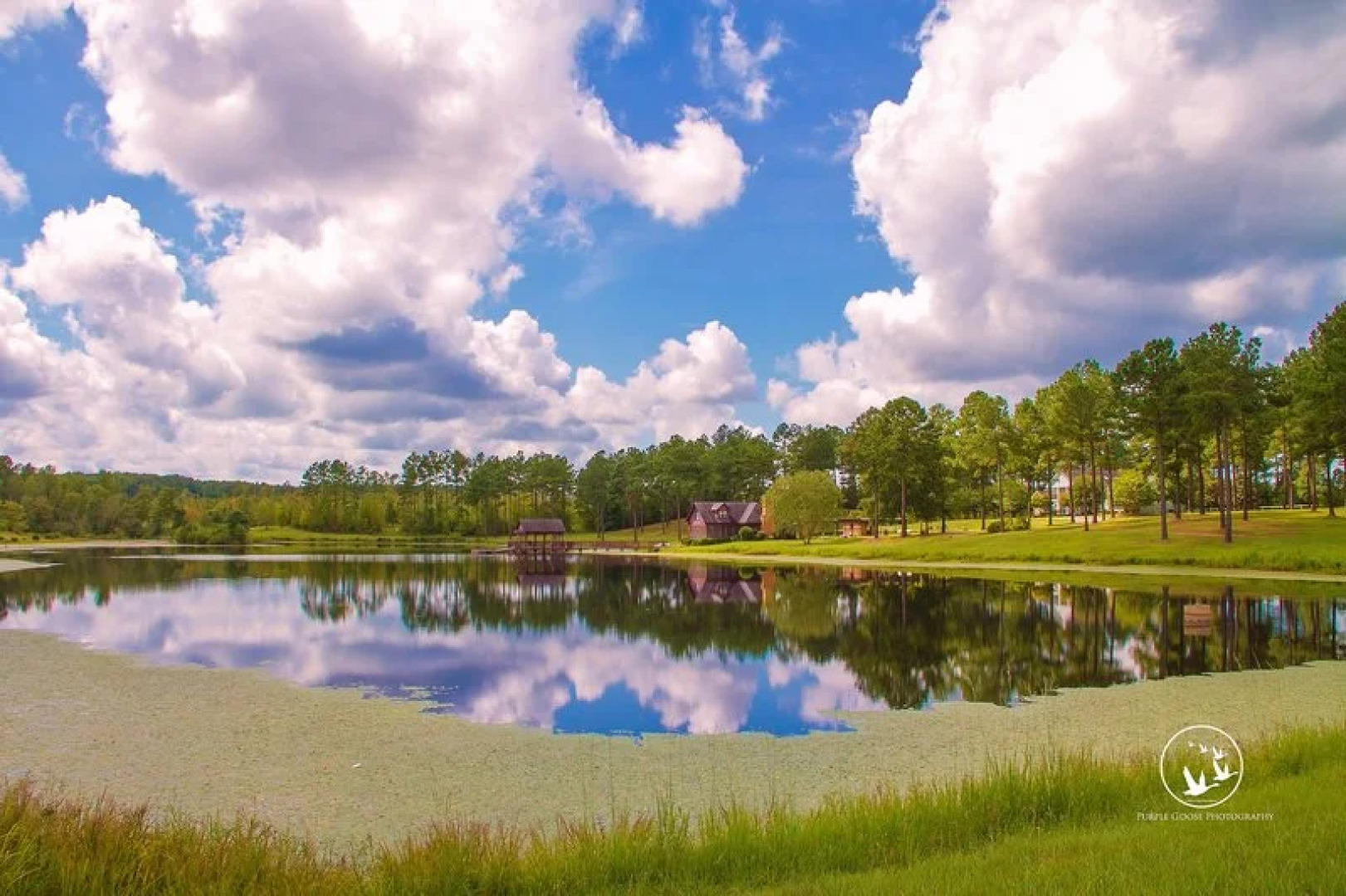 Victorian Elegance Inn