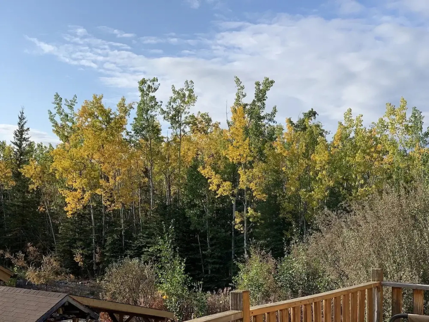 Sawinglogzz Log Cabin