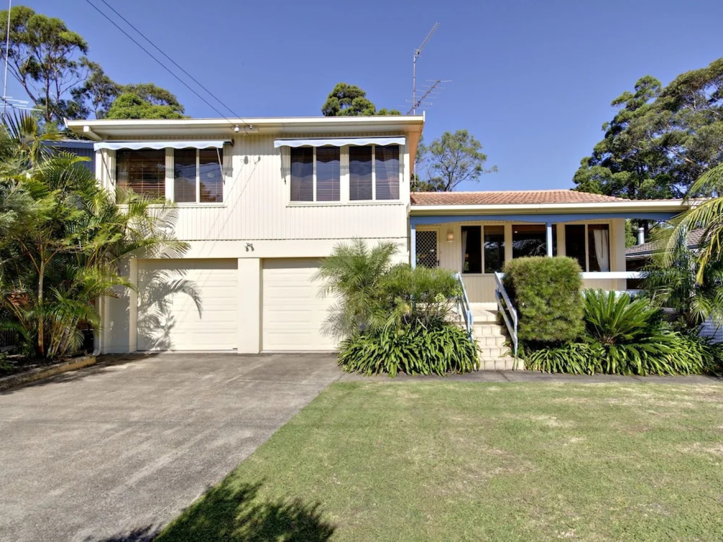 Reel Paradise, 101 Horace Street