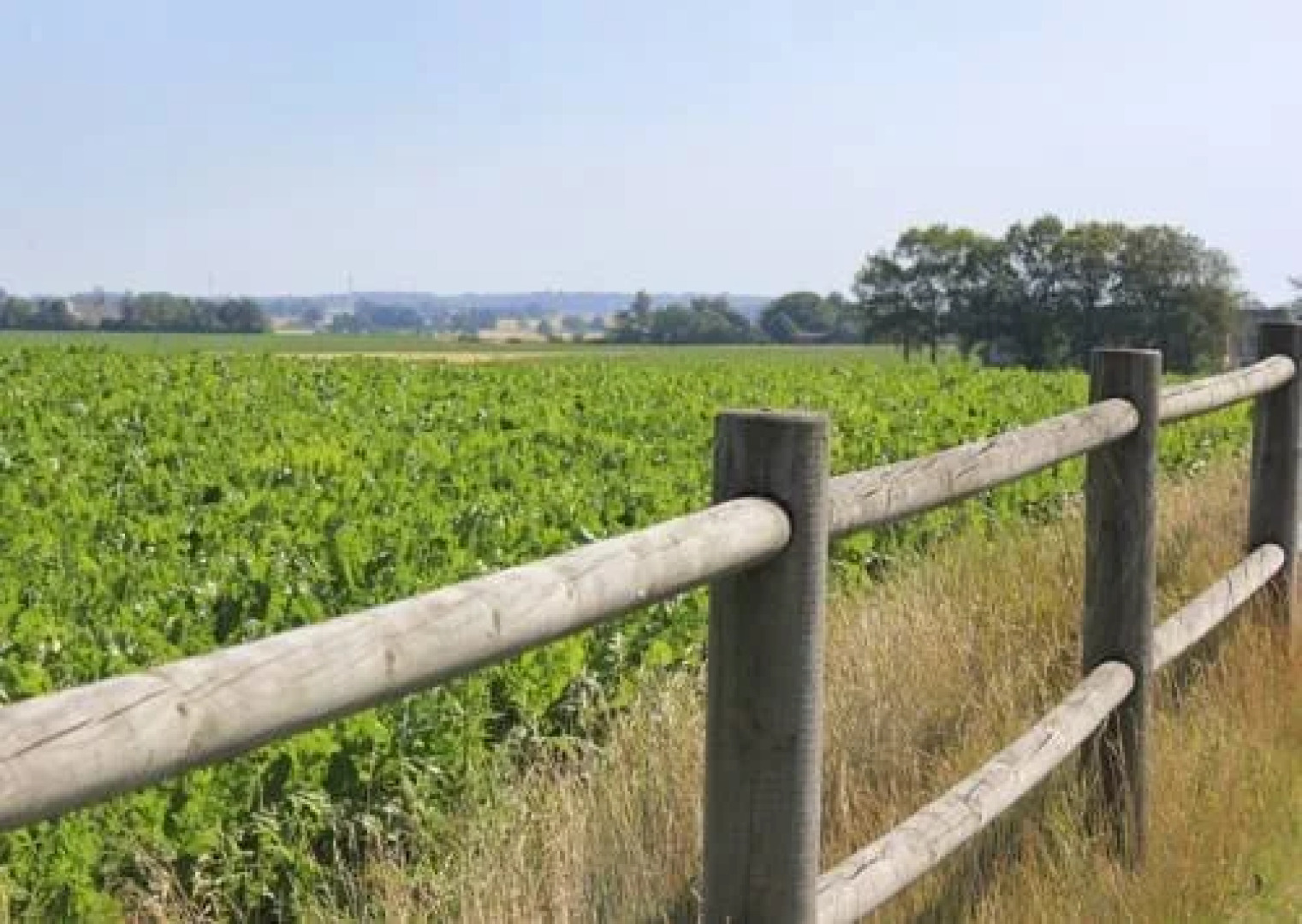 Højgård Bed & Breakfast