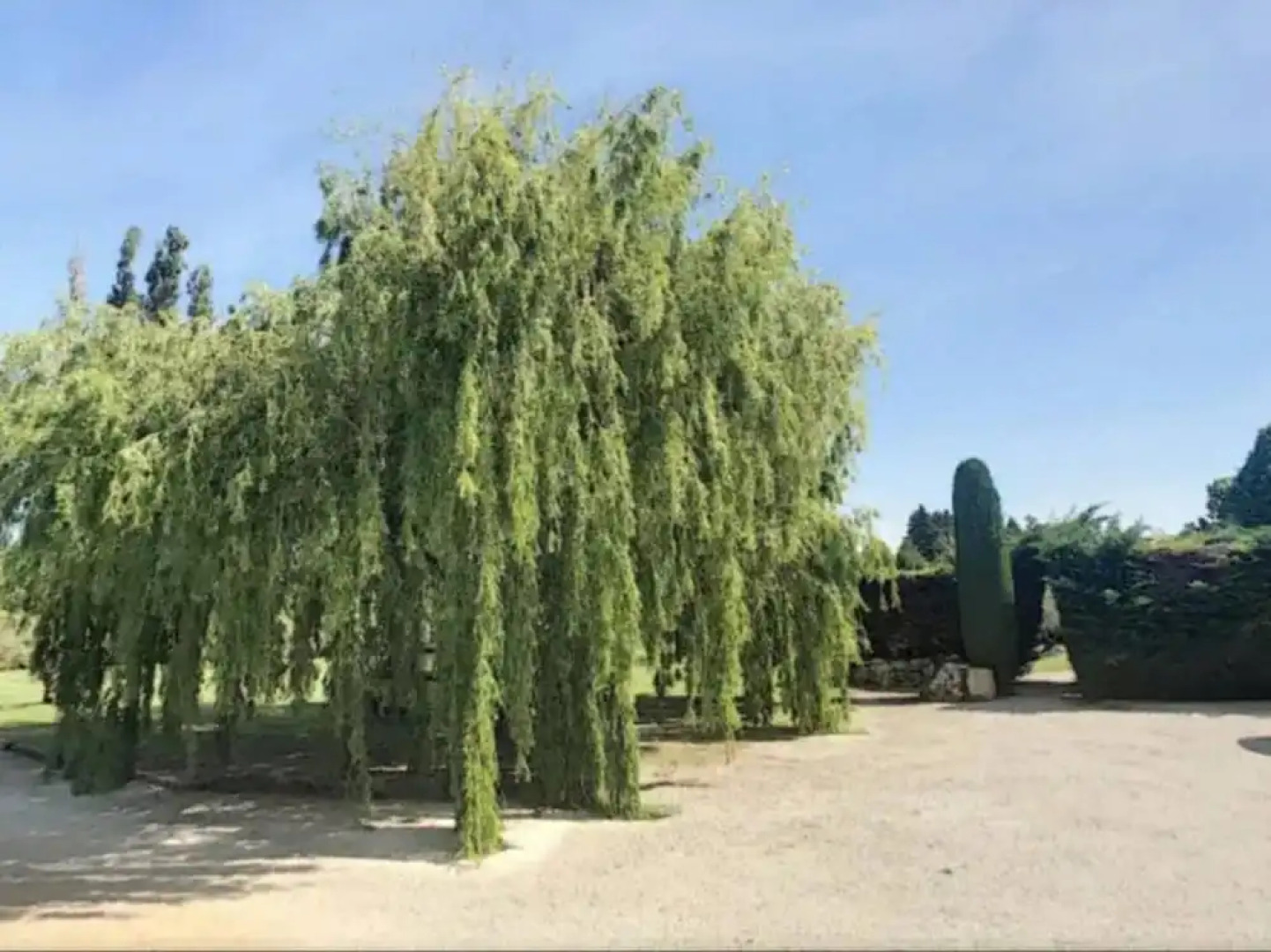 Villa With 5 Bedrooms in Eygalières, With Private Pool, Furnished Garden and Wifi