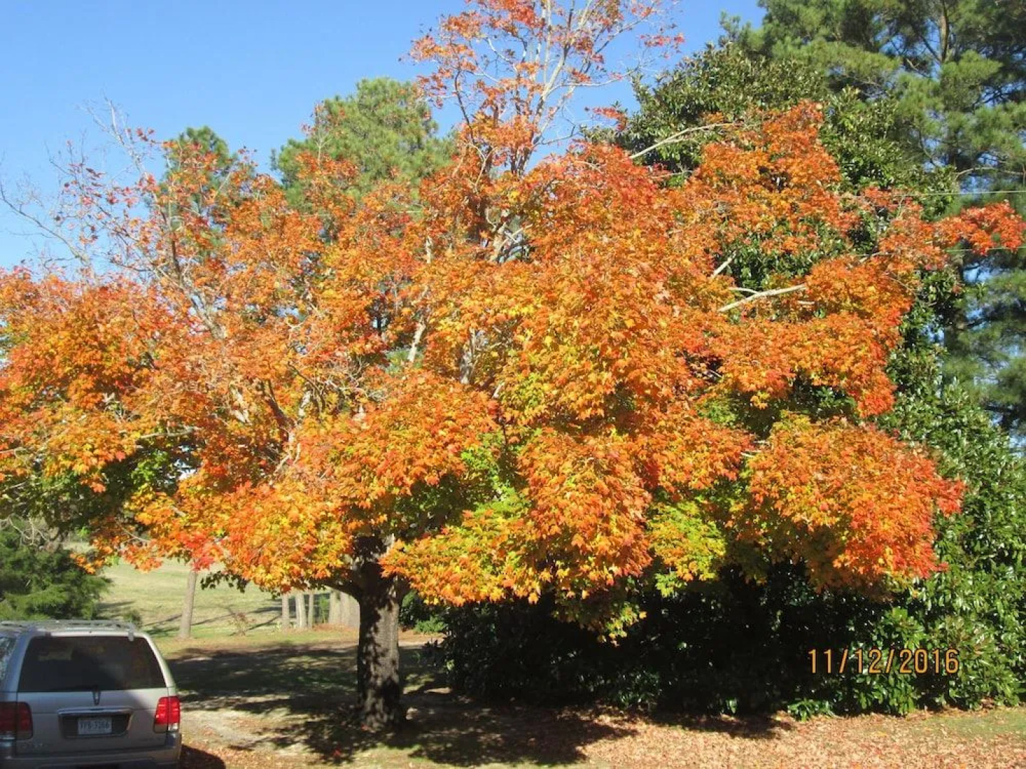Bay View Waterfront B&B