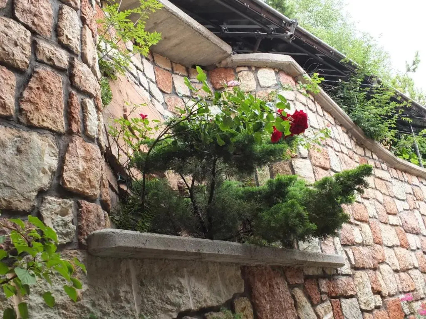 Appartamenti Donini Alfredo