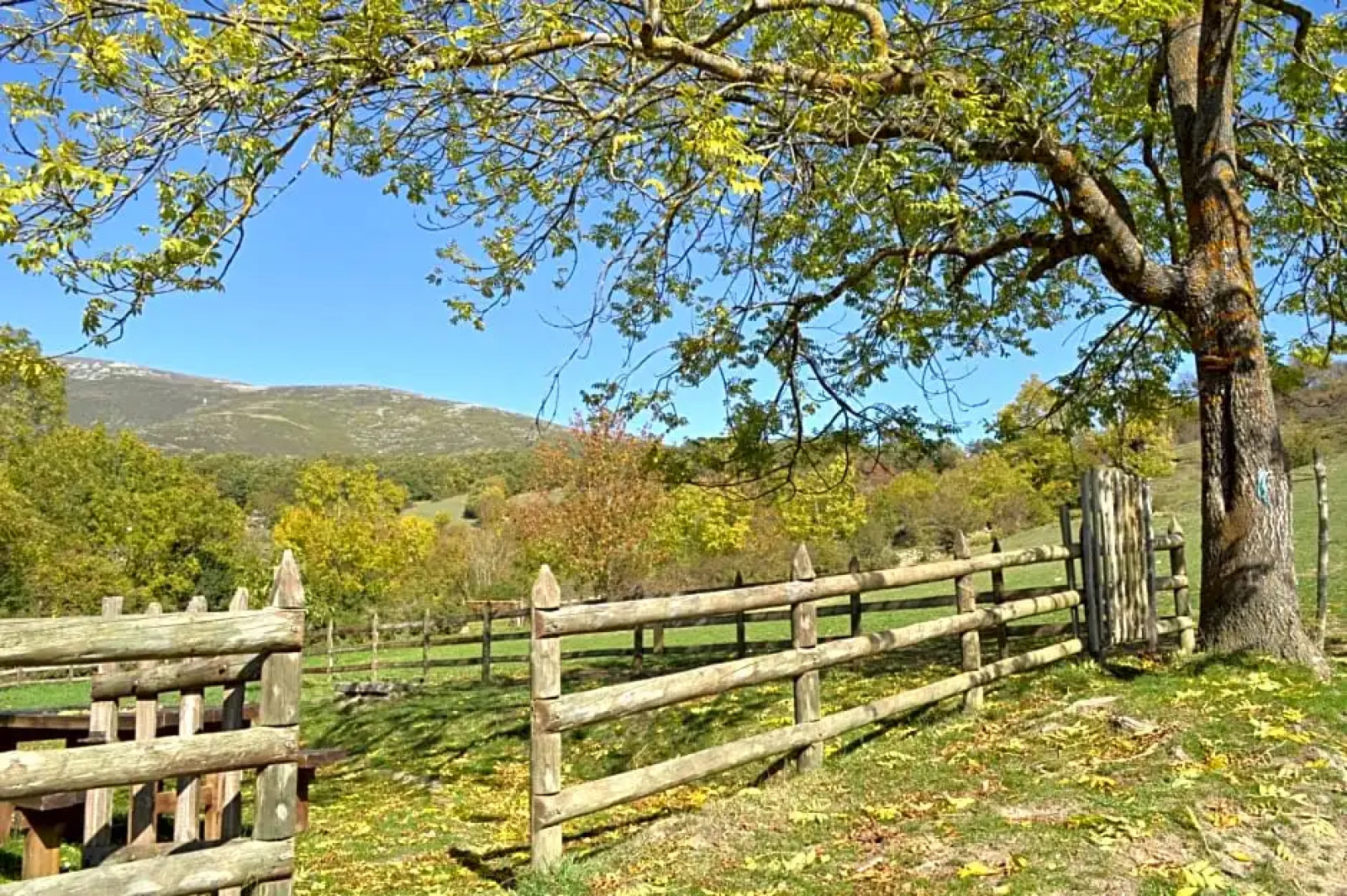 Albergue Las Indianas