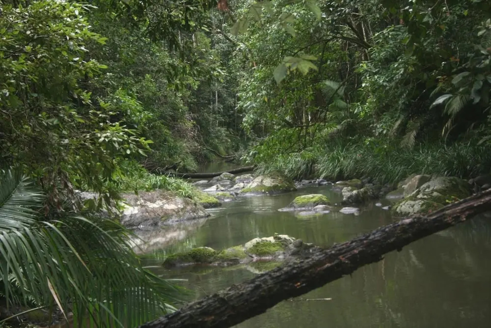 Rose Gums Wilderness Retreat