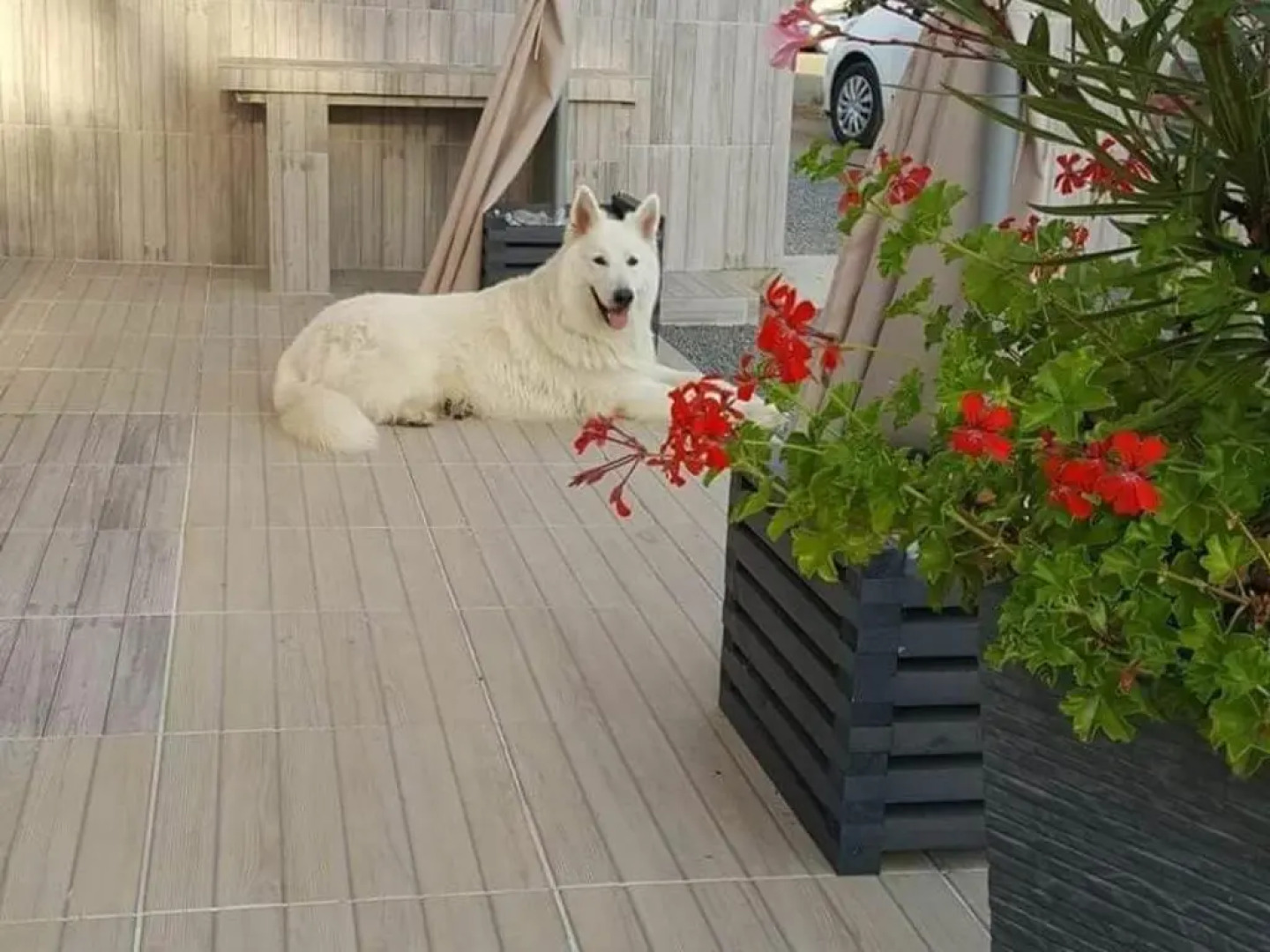 Gîte Brem, 5 pièces, 8 personnes - FR-1-426-103