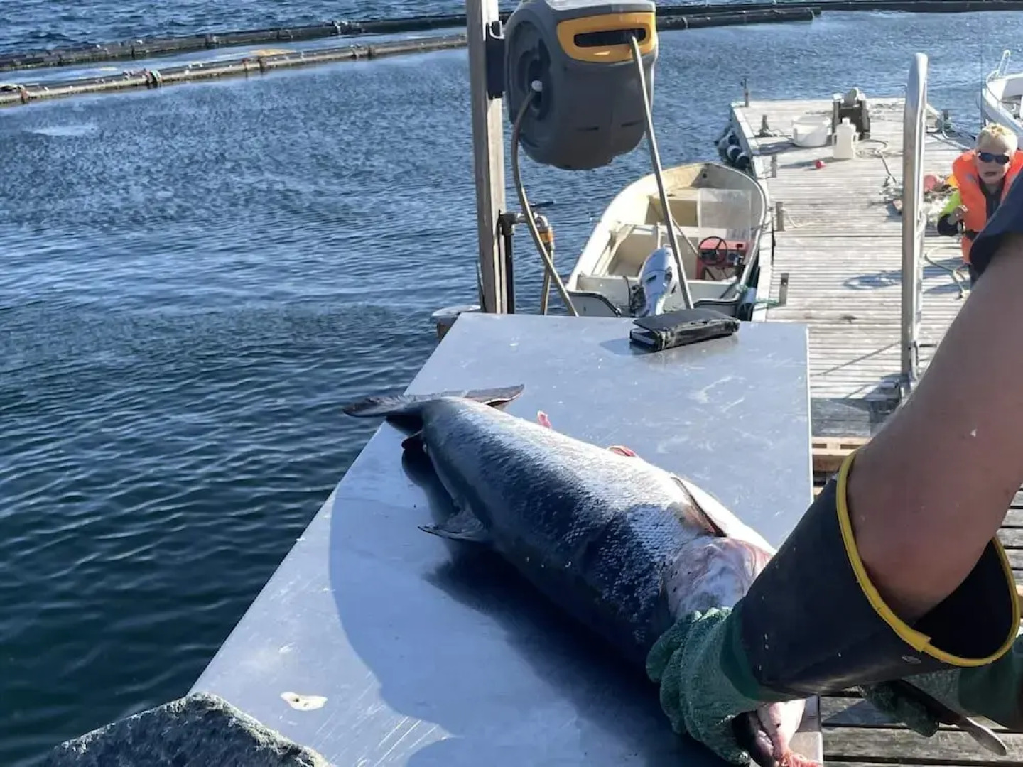 9 Person Holiday Home in Korsfjorden