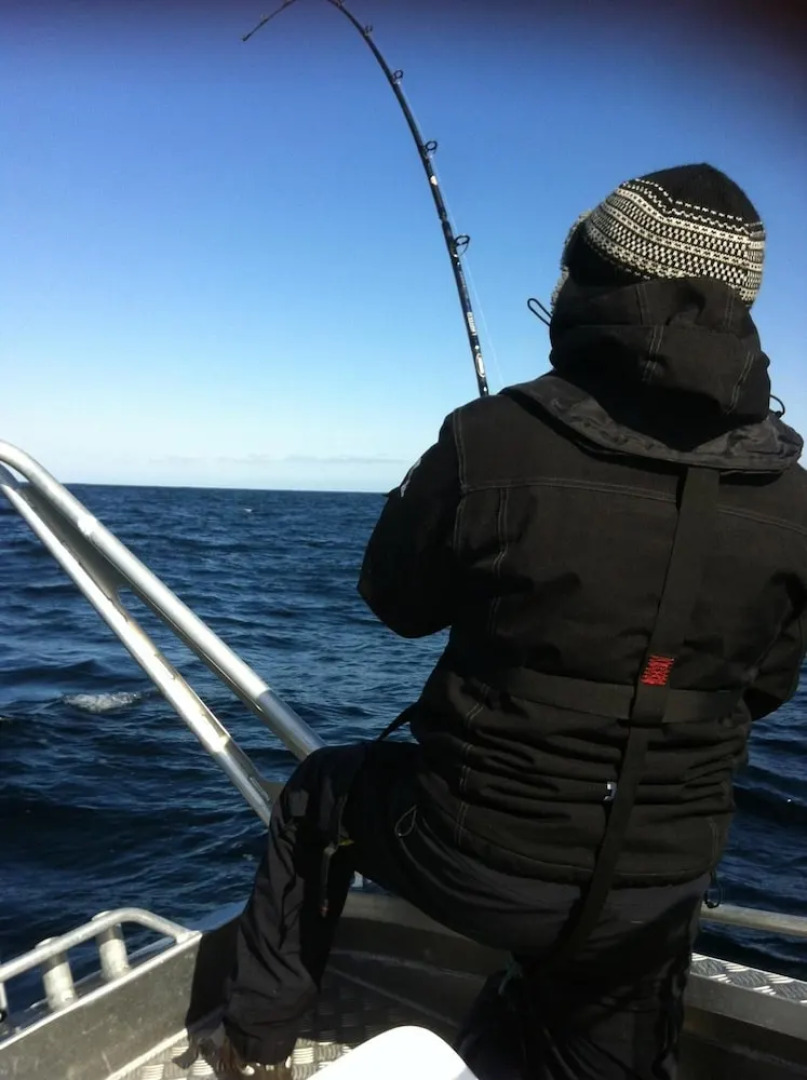 Sula Rorbuer og Havhotell