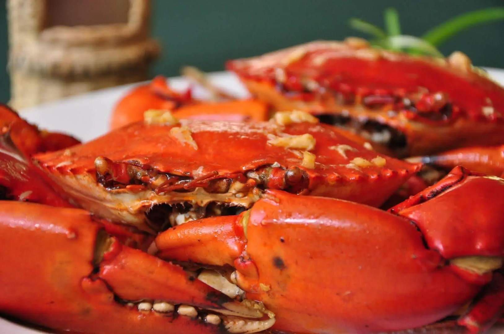 Busuanga Island Paradise Hotel