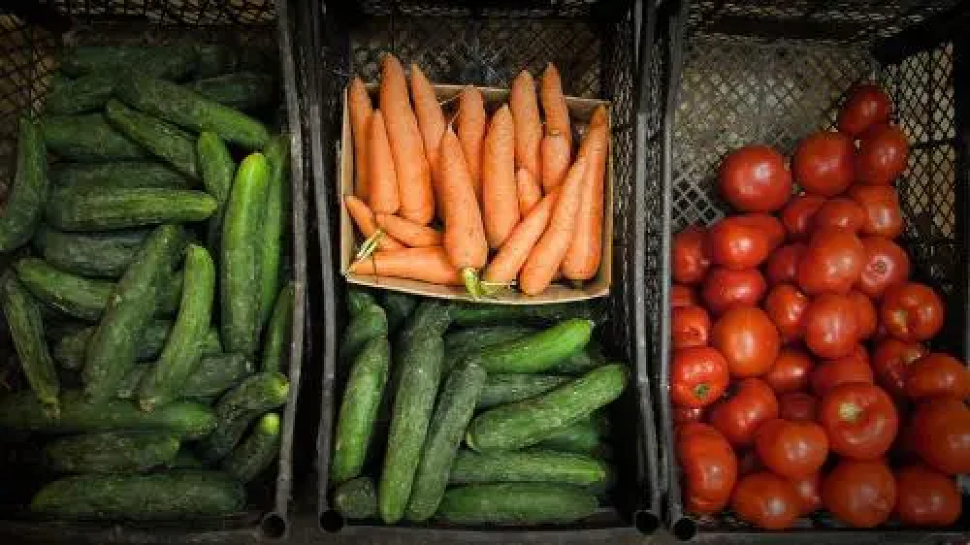 Guesthouse Ushguli Maspindzeli