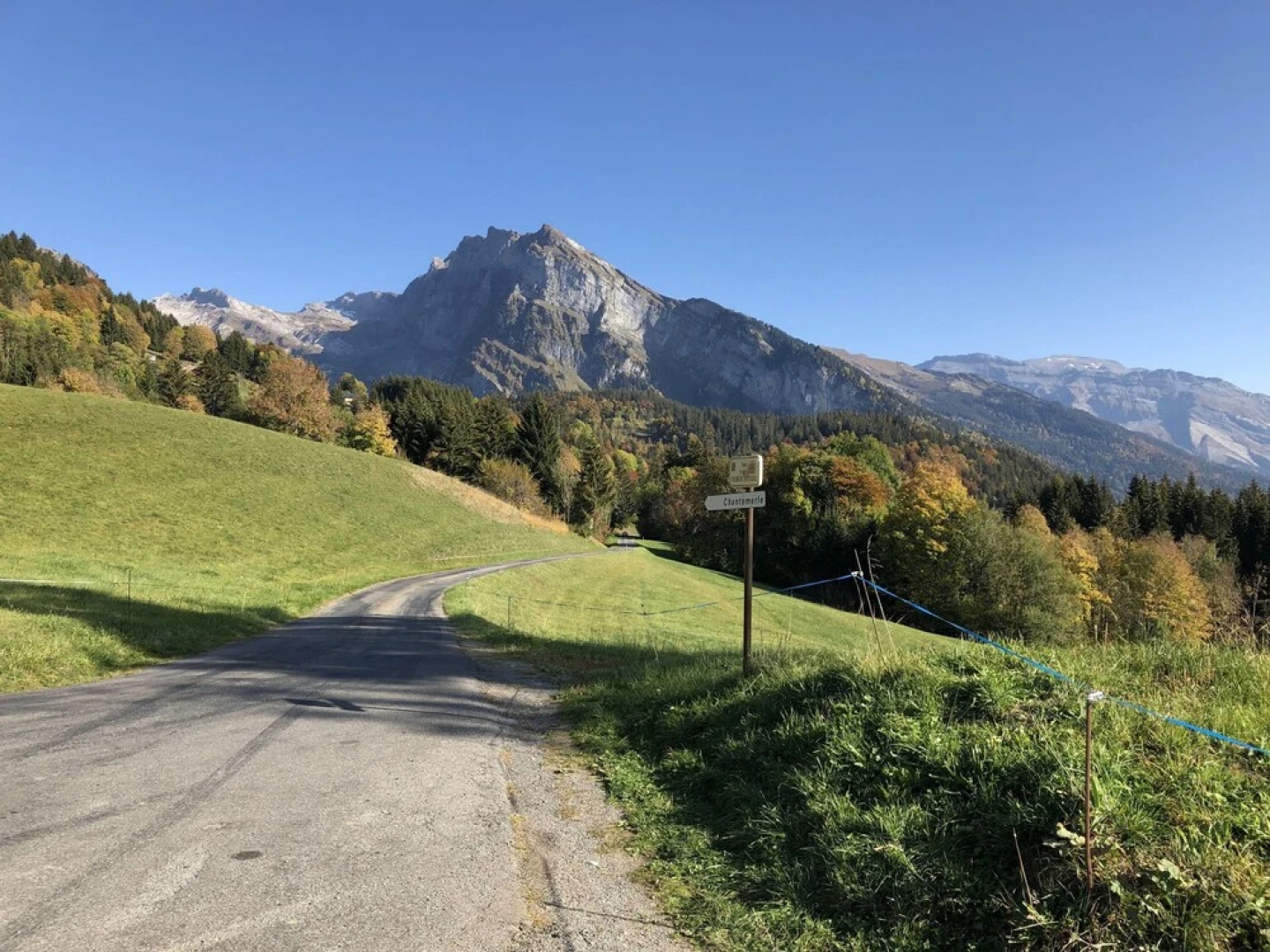 L'Épervier Blanc