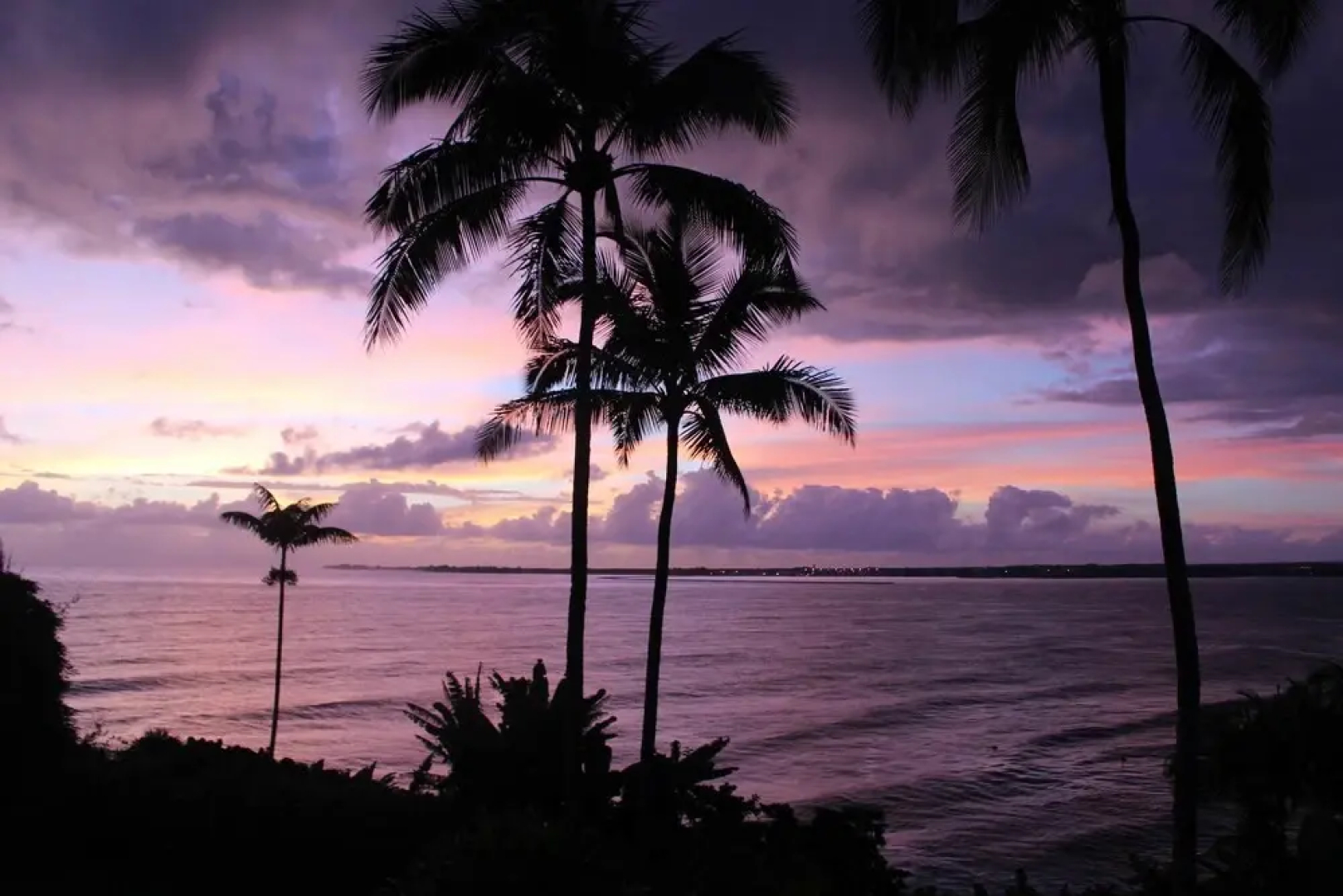 希洛火努利湾住宿加早餐旅馆(Hilo Honolii Bay Bed and Breakfast)