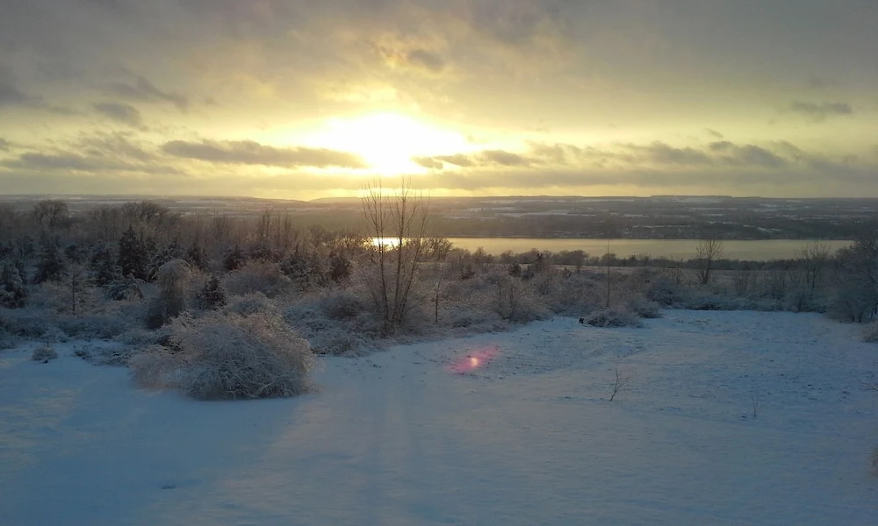 The Fox and the Grapes Bed & Breakfast