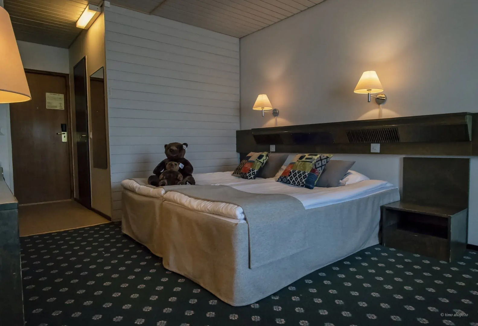 Hotelli Mesikämmen Oy