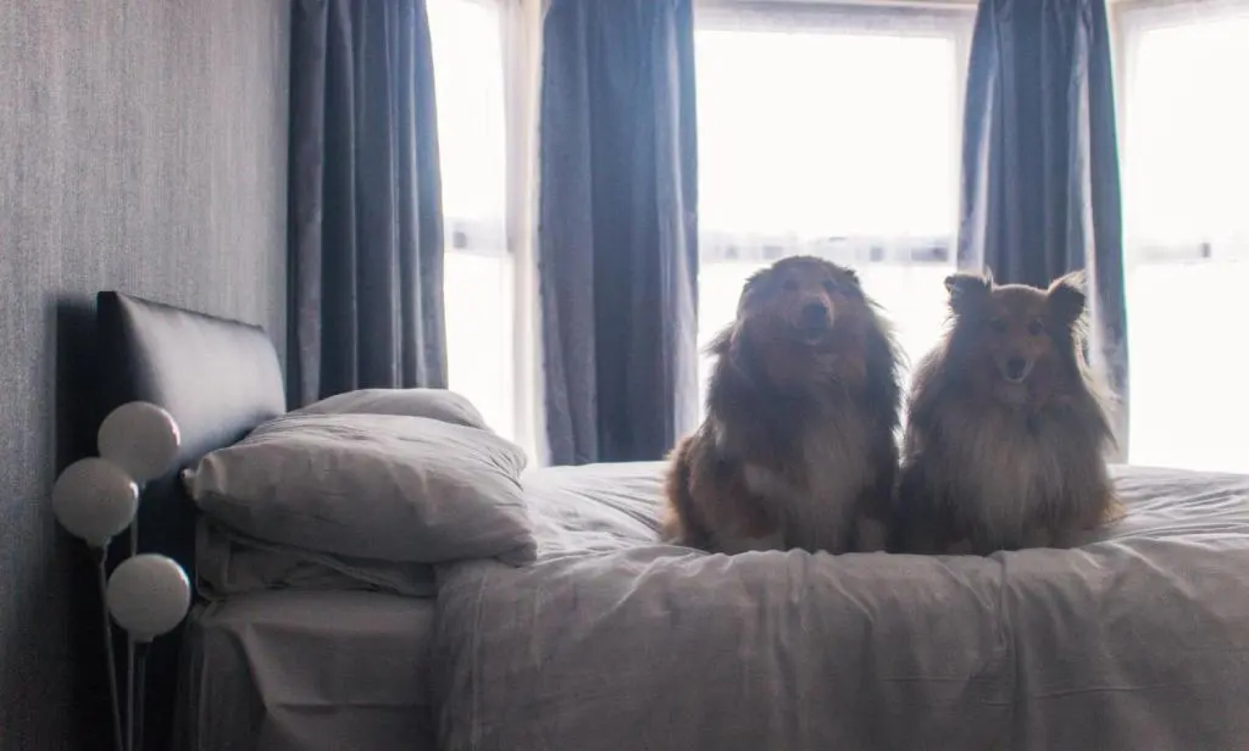 Wellesley Park Hotel