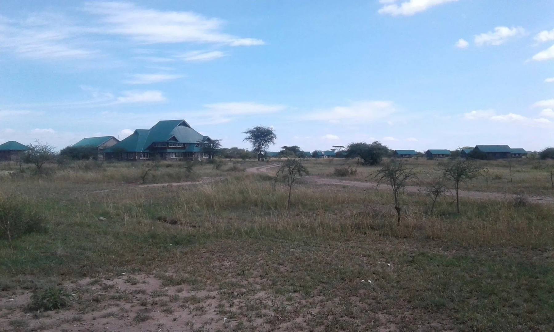 Zebra Kemang'ore Bush Tented Lodge