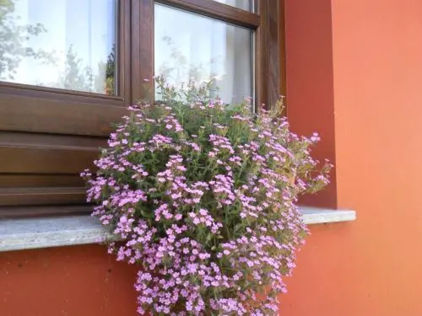 Apartamentos Rurales La Güertona