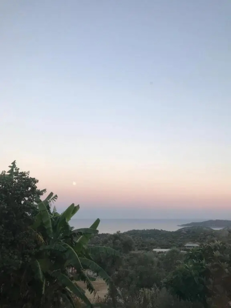 Senayablaevpansiyonculuk