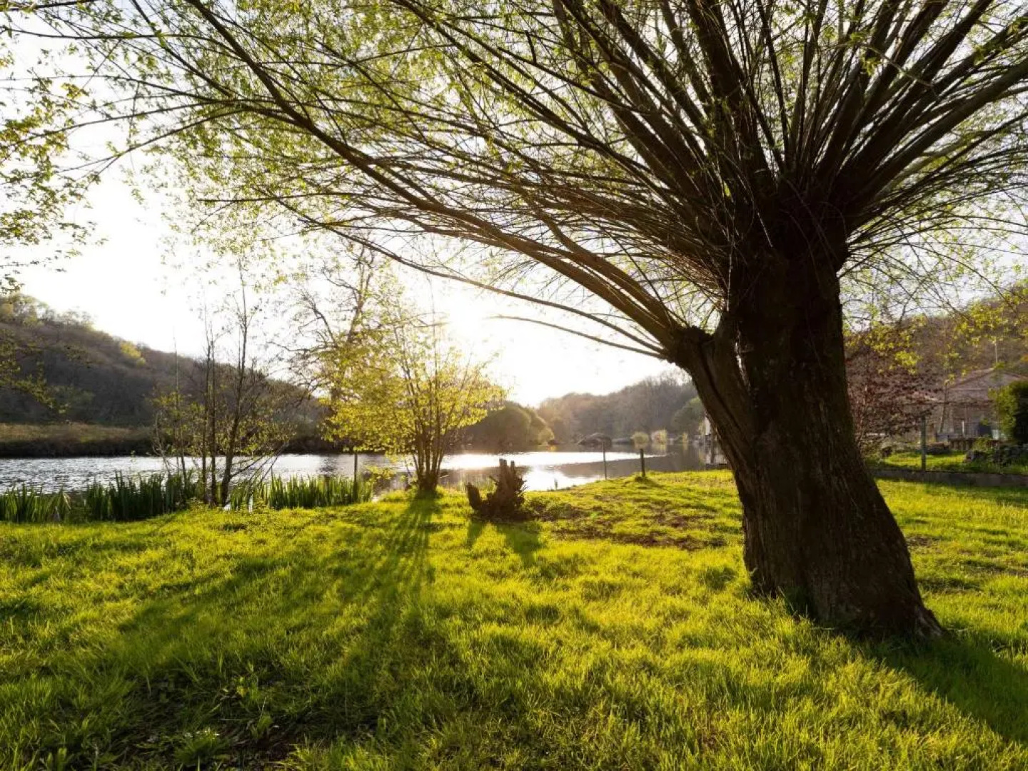 Gîte Mortagne-sur-Sèvre, 1 pièce, 2 personnes - FR-1-426-482