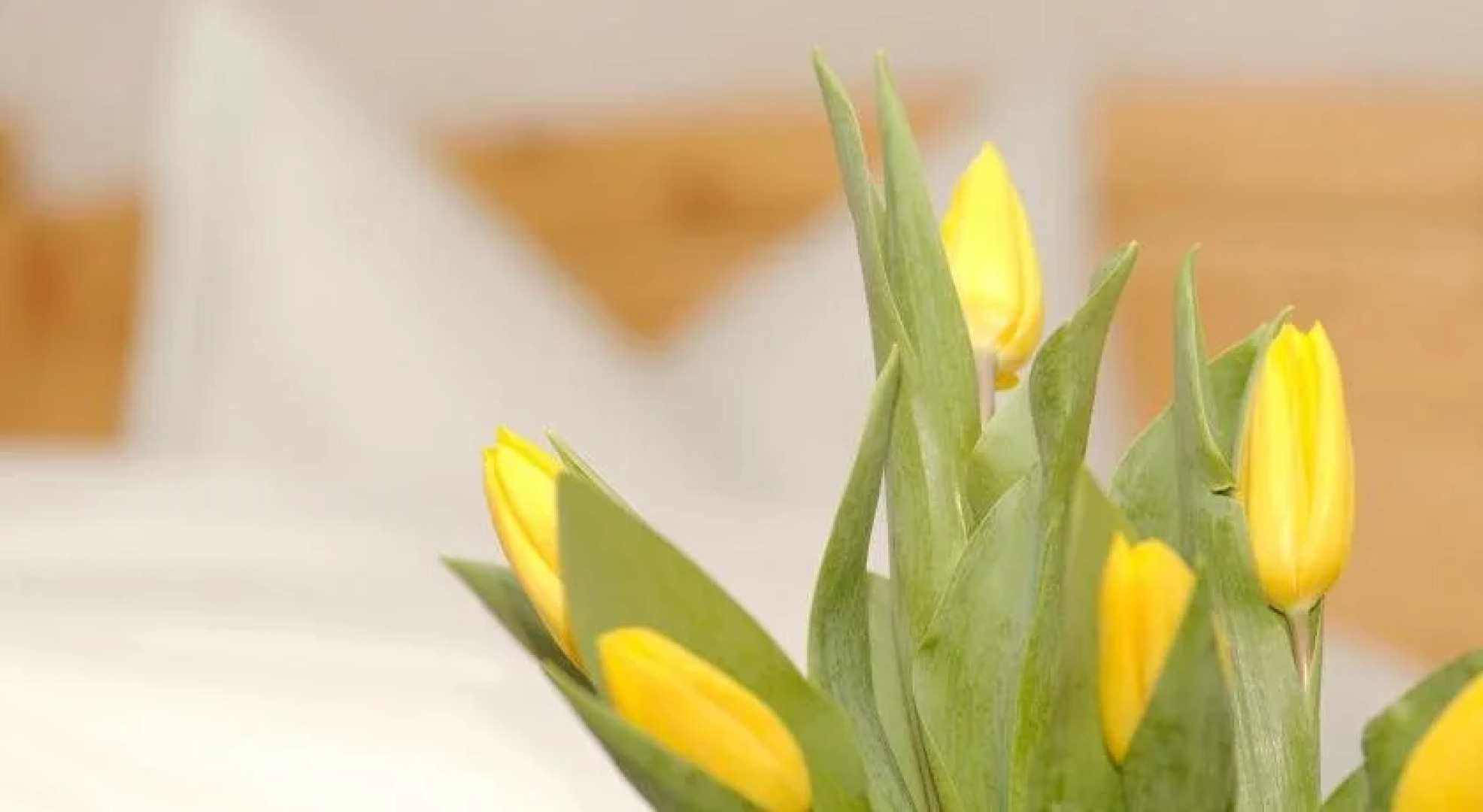 Waldgasthof & Hotel Am Sauwald