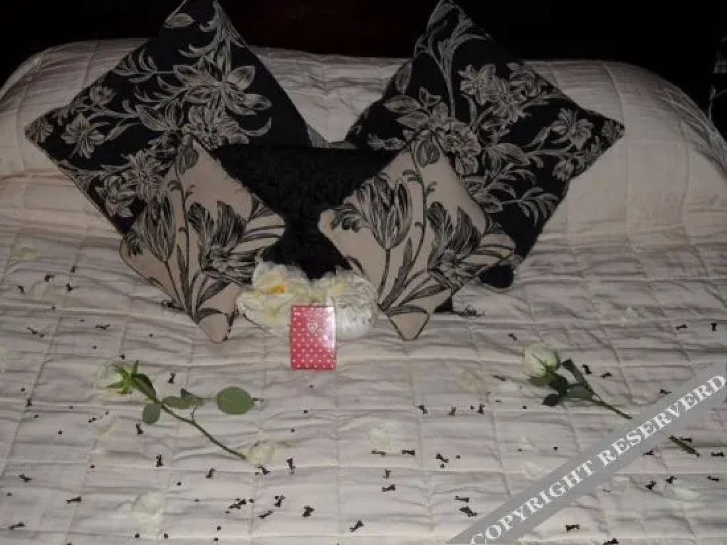 The Bays Guest House