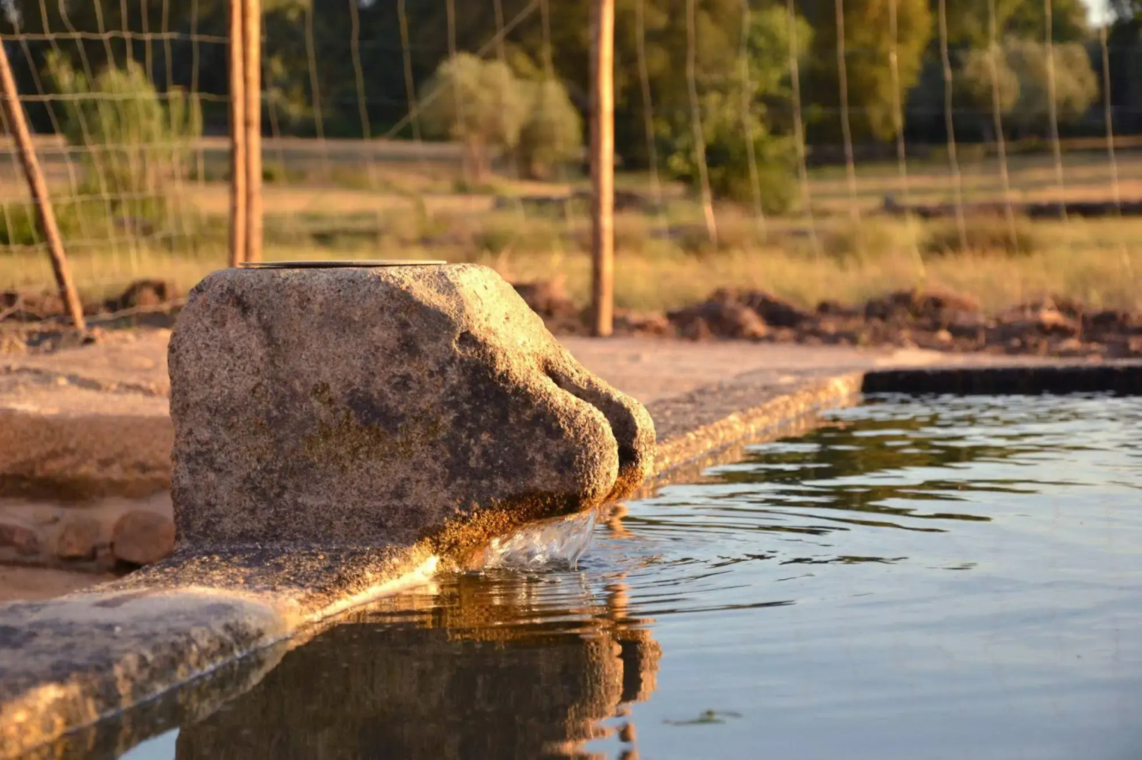 Quinta dos Carvalhos