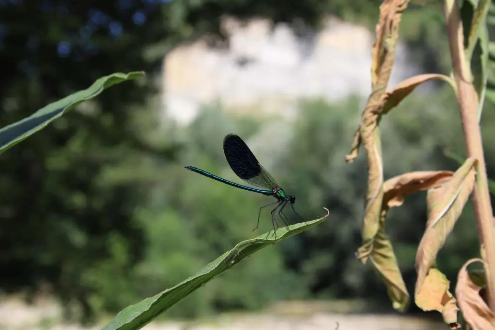 Agriturismo San Martino