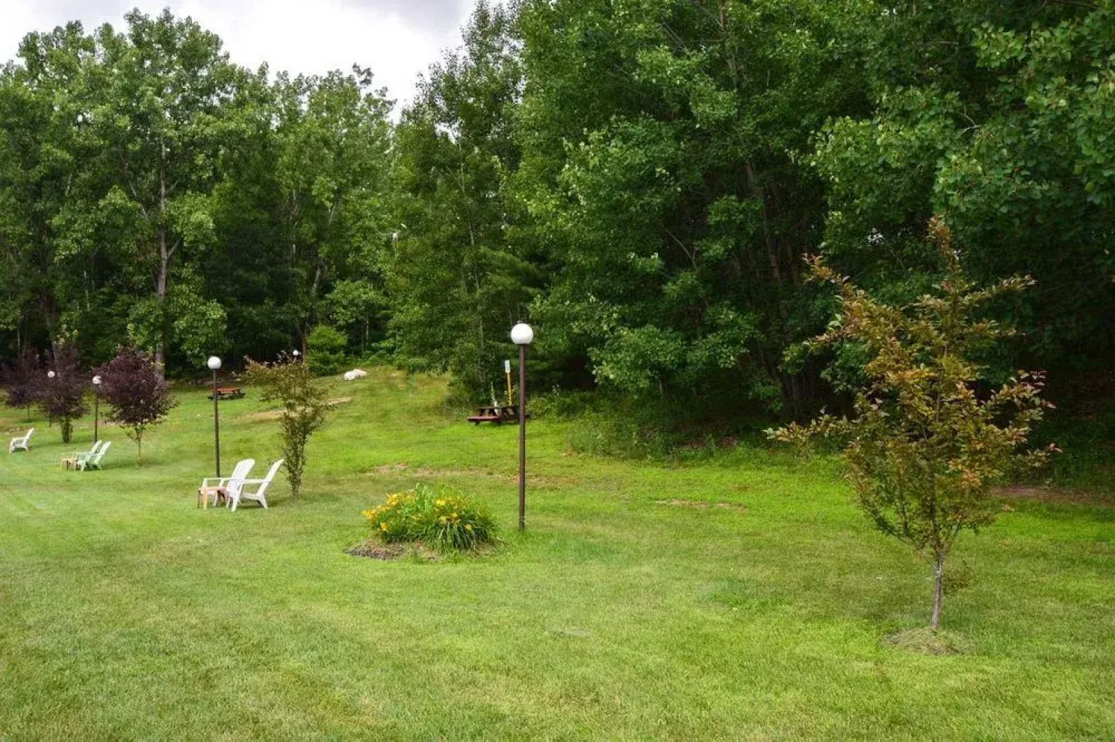 Rodeway Inn Springhills Lake George