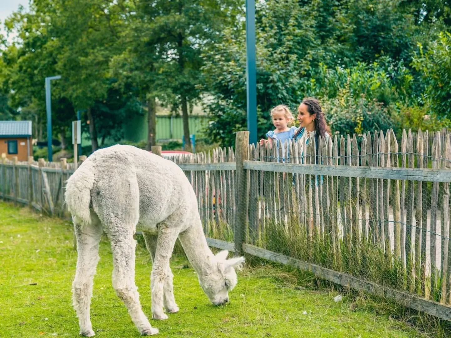 Chalet Near Veluwemeer With Garden Terrace