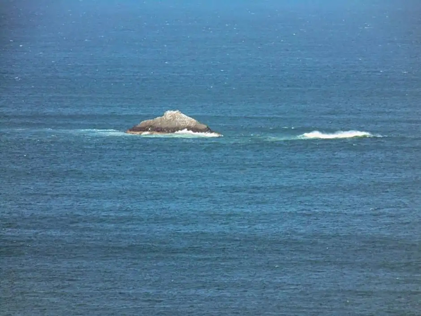 Rosemount B&B by the Sea St Clair