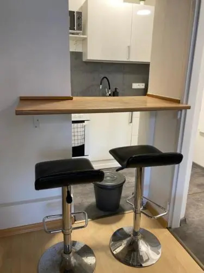 Downtown Flat under Spilberk Castle