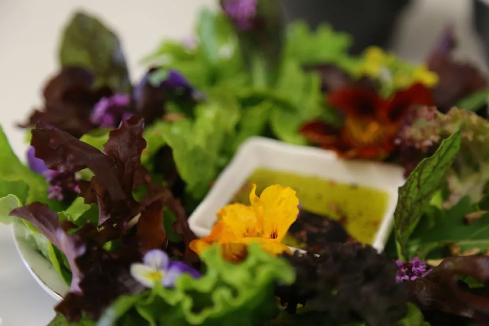 Lónkot Rural Resort