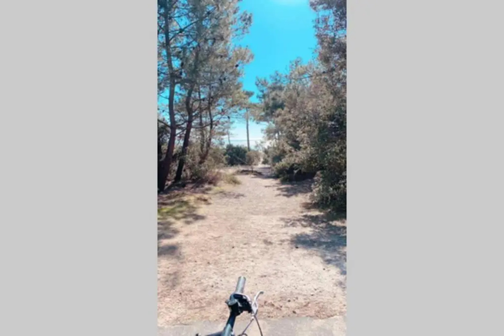 ST PALAIS Appartement cocooning