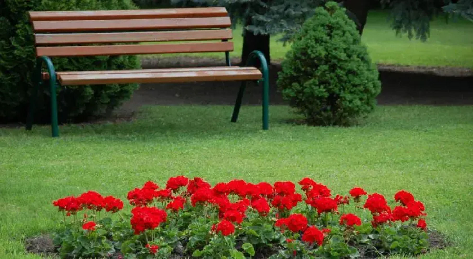 Pálmajor Pihenöpark és Rendezvényközpont